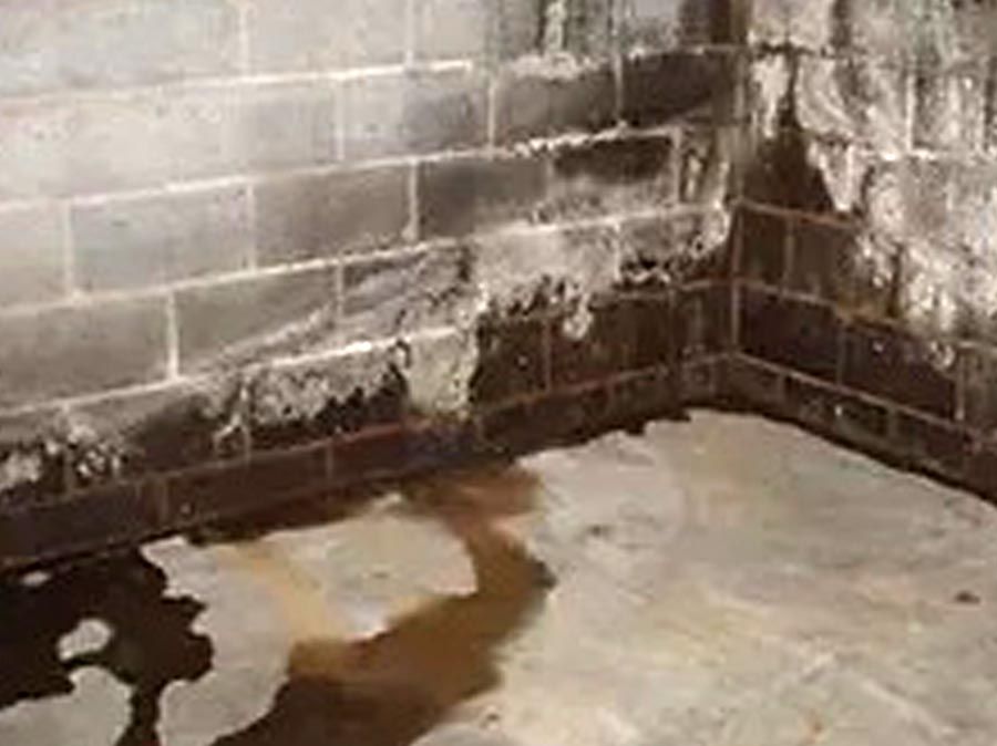 Basement Waterproofing Marks TN Before