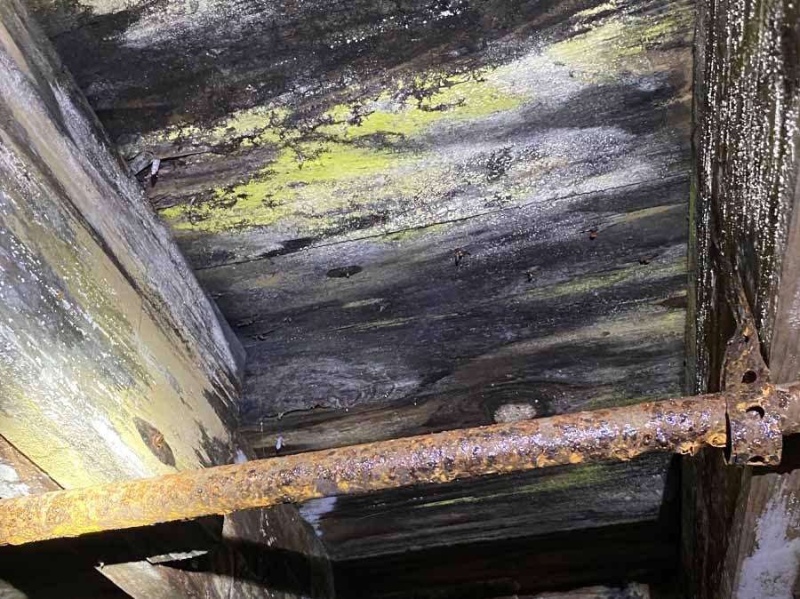 Musty Crawl Space Odors