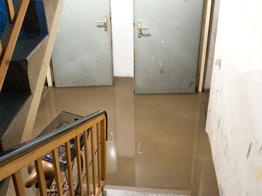 Water in Basement in Red Banks TN