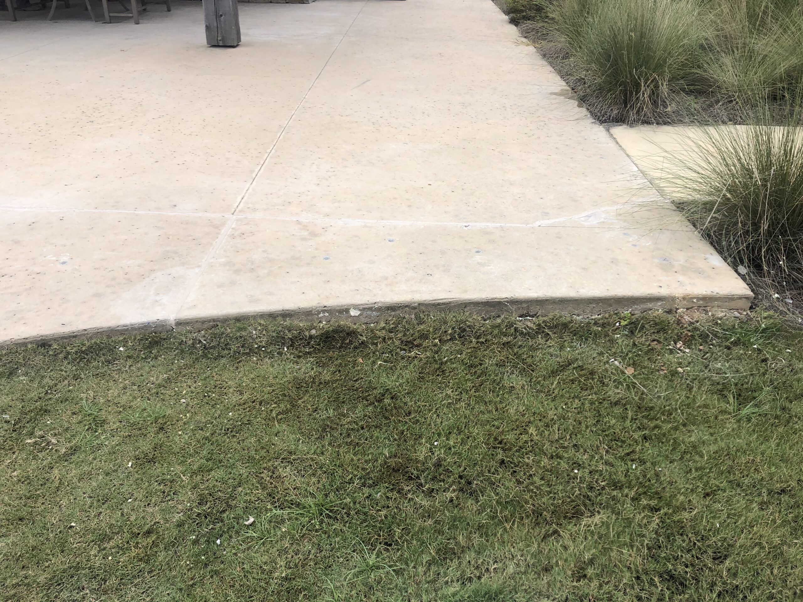 lifted and repaired concrete driveway