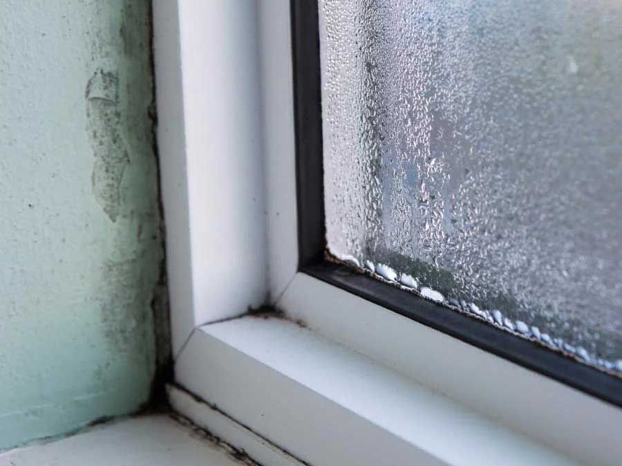 basement condensation in nashville