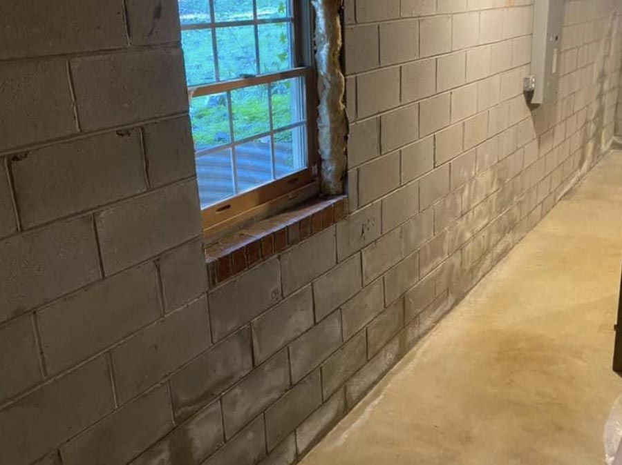 Basement Mold and Mildew