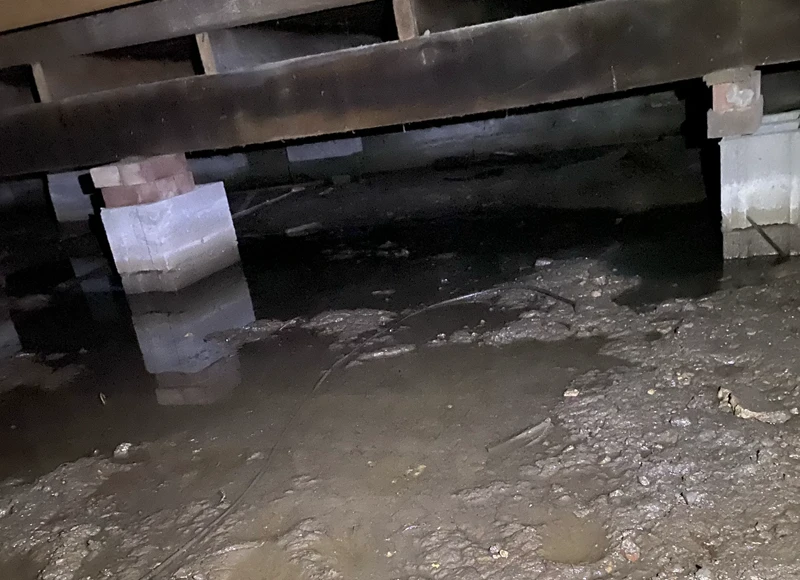 Basement water and flooding