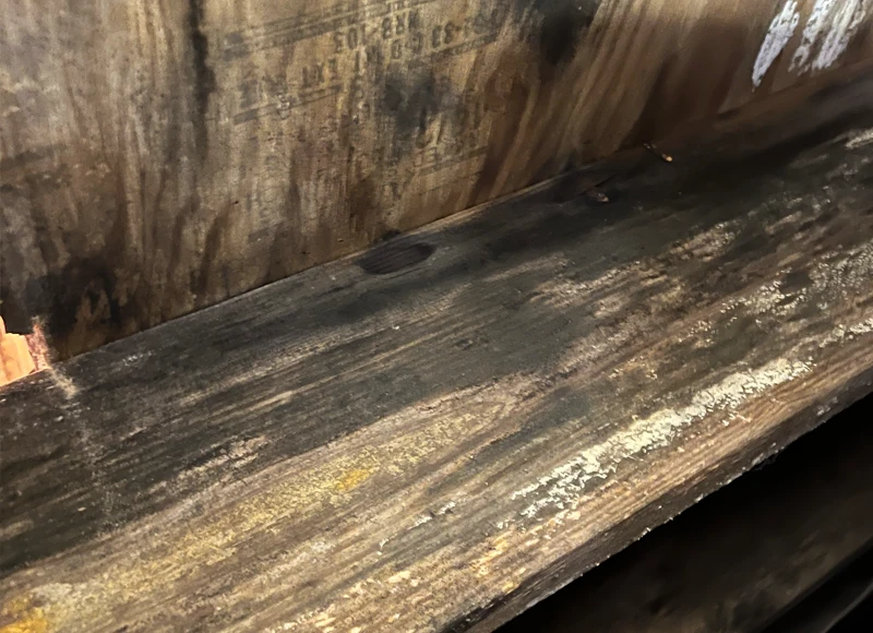 mold on wood floor supports