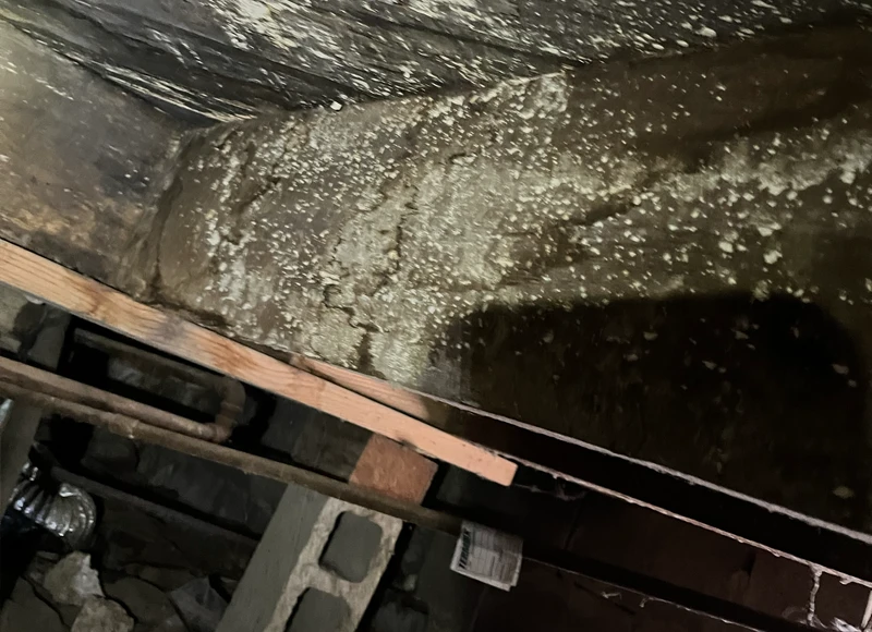 musty odors from mold on crawl space joists