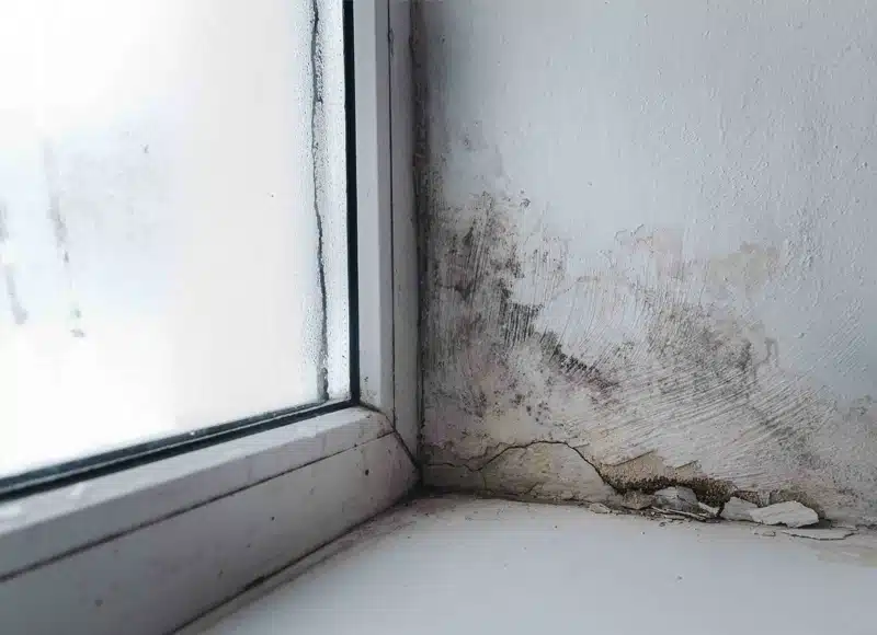 window mold