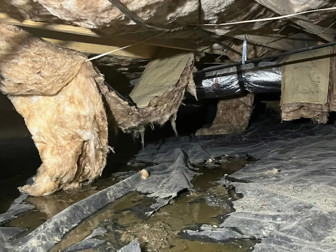 crawl space flooding