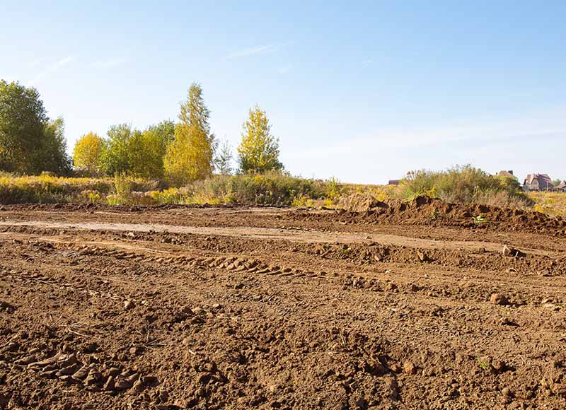dirt site with tress