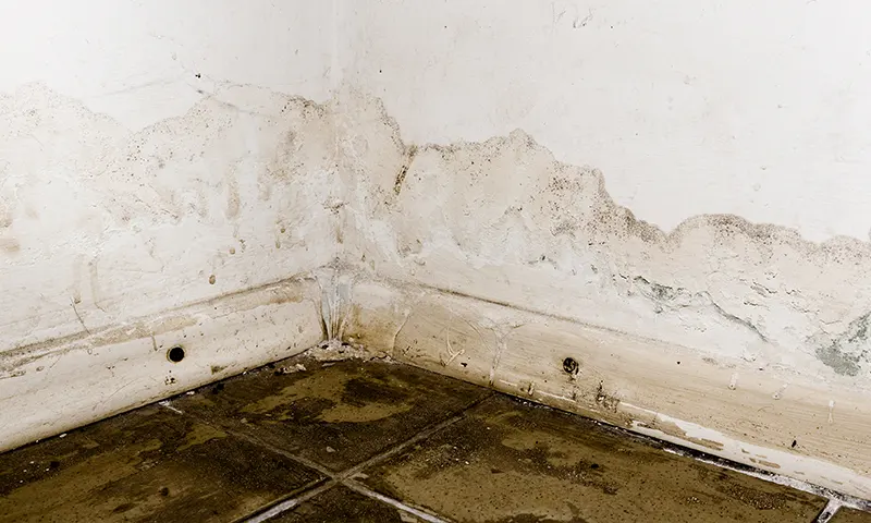wet wall