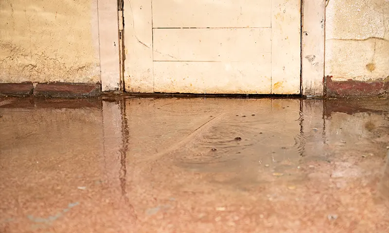 standing water in basement